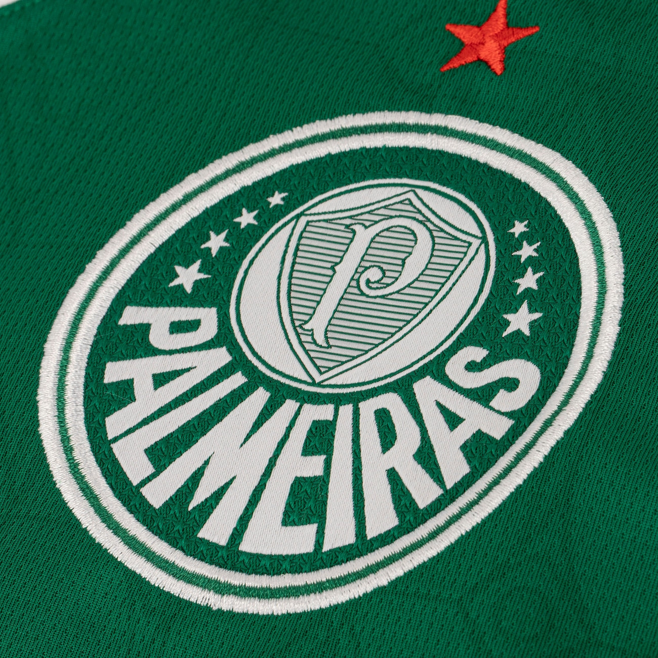 Camisa Palmeiras I 2025/26 Puma Masculina Torcedor - Verde