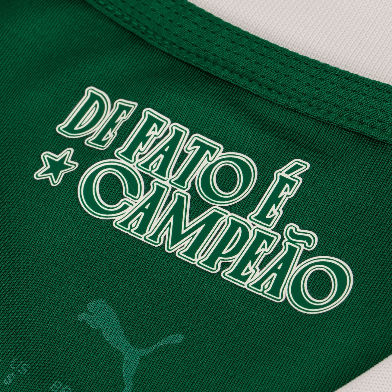 Camisa Palmeiras I 2025/26 Puma Masculina Torcedor - Verde