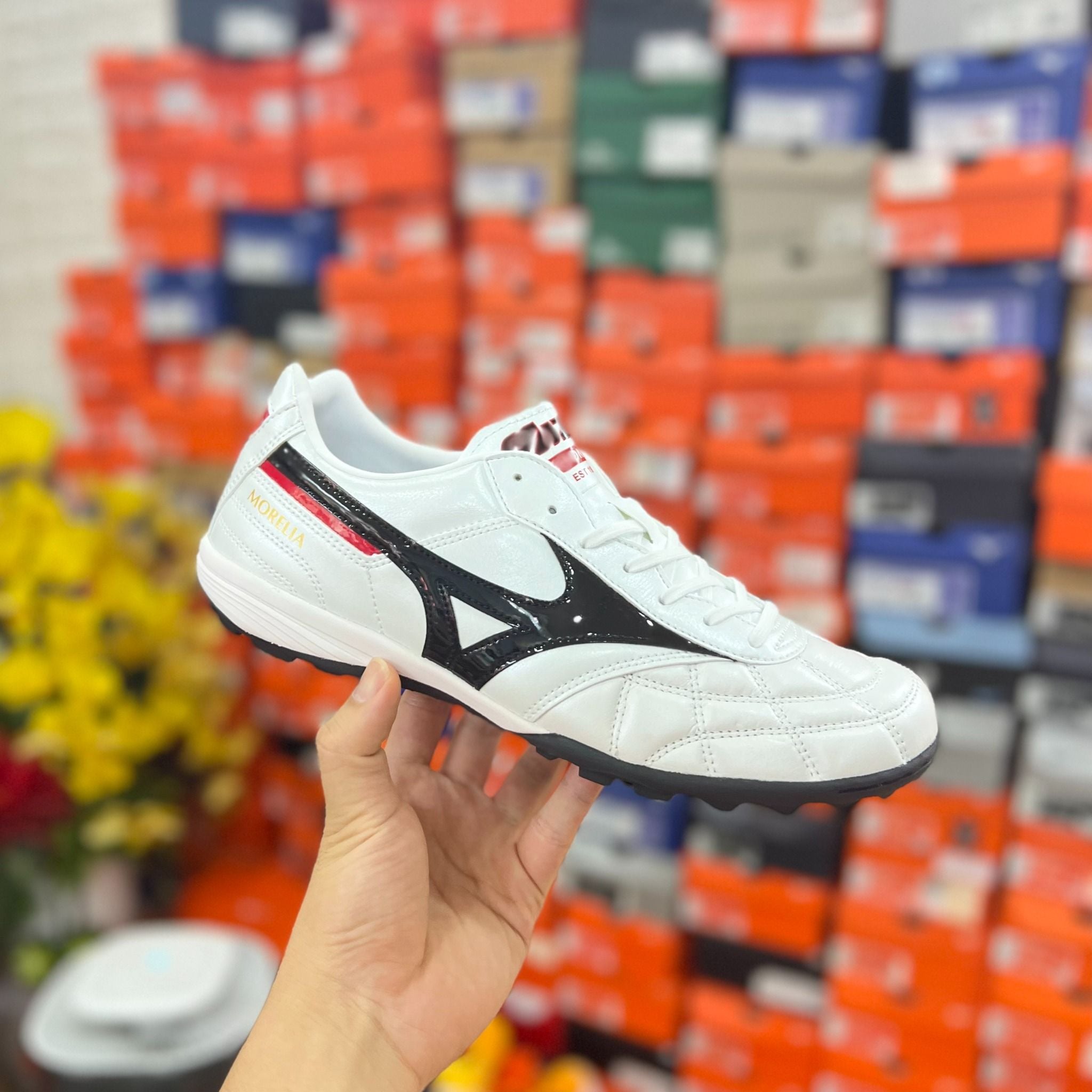 Society Mizuno