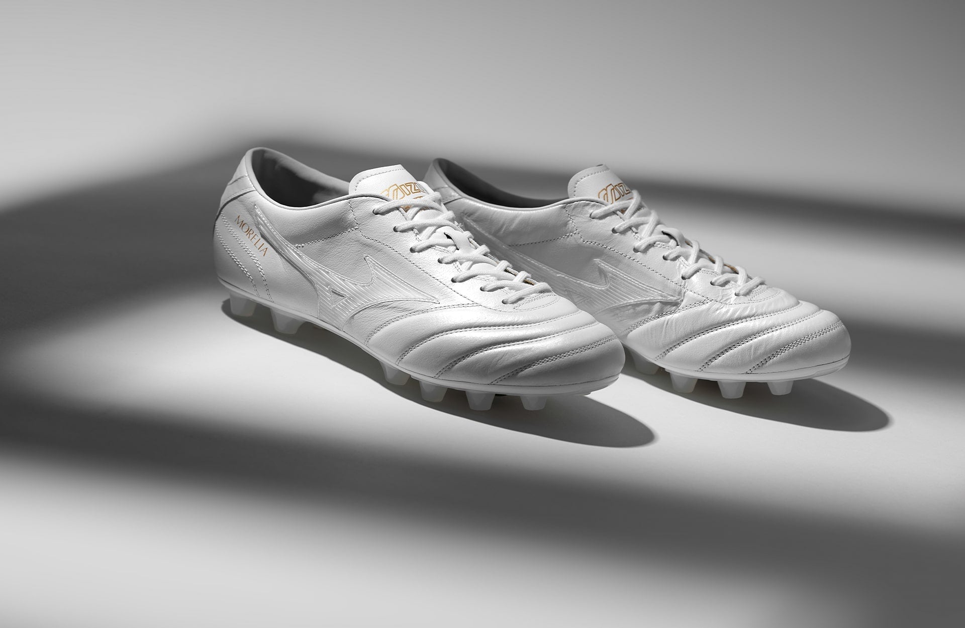 Campo Mizuno