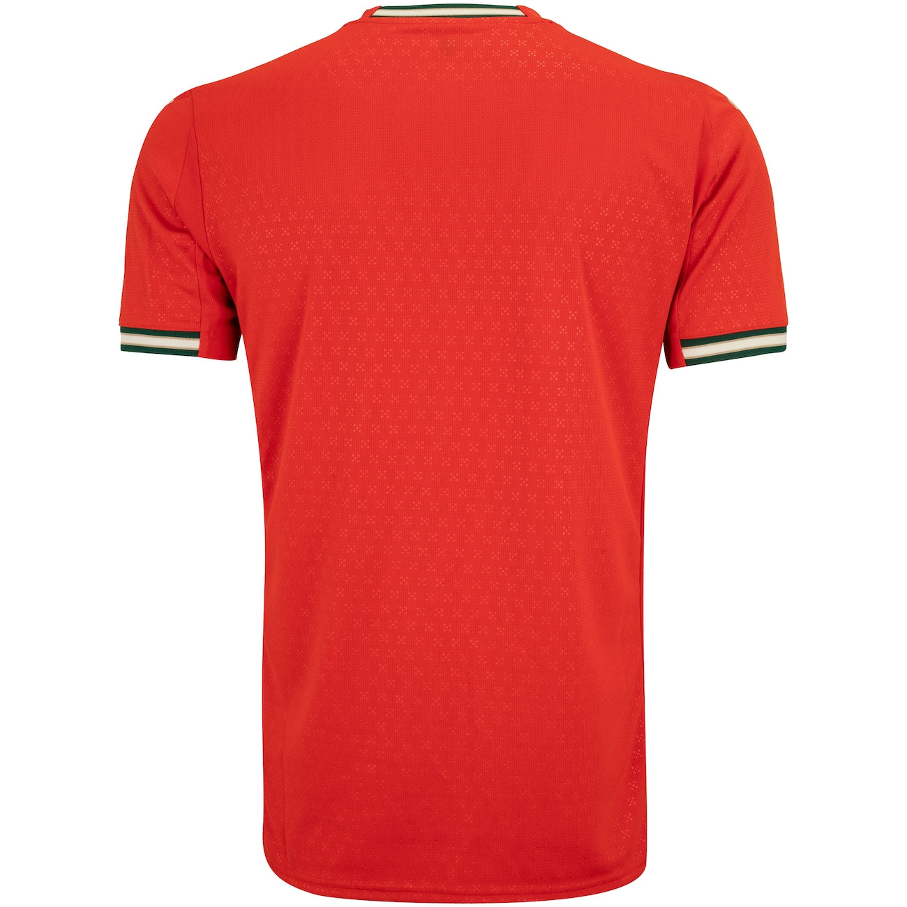 Camisa Portugal I 25/26 Puma Torcedor Masculina - Vermelha e Verde